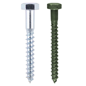 Coach Screw