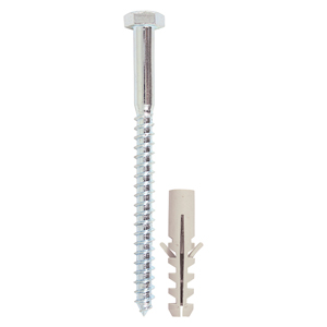 Coach Screw & Nylon Plug.